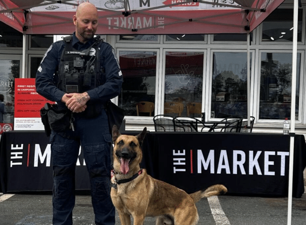 CVILLE Right Now: Local Sergeant and K-9 partner receive national honor