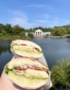 the markets-signature sandwich-the ednam